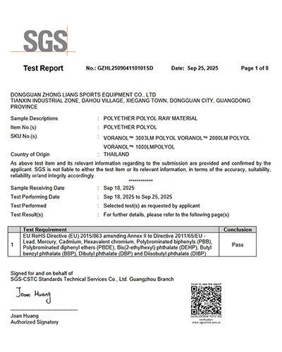 SGS Test Report